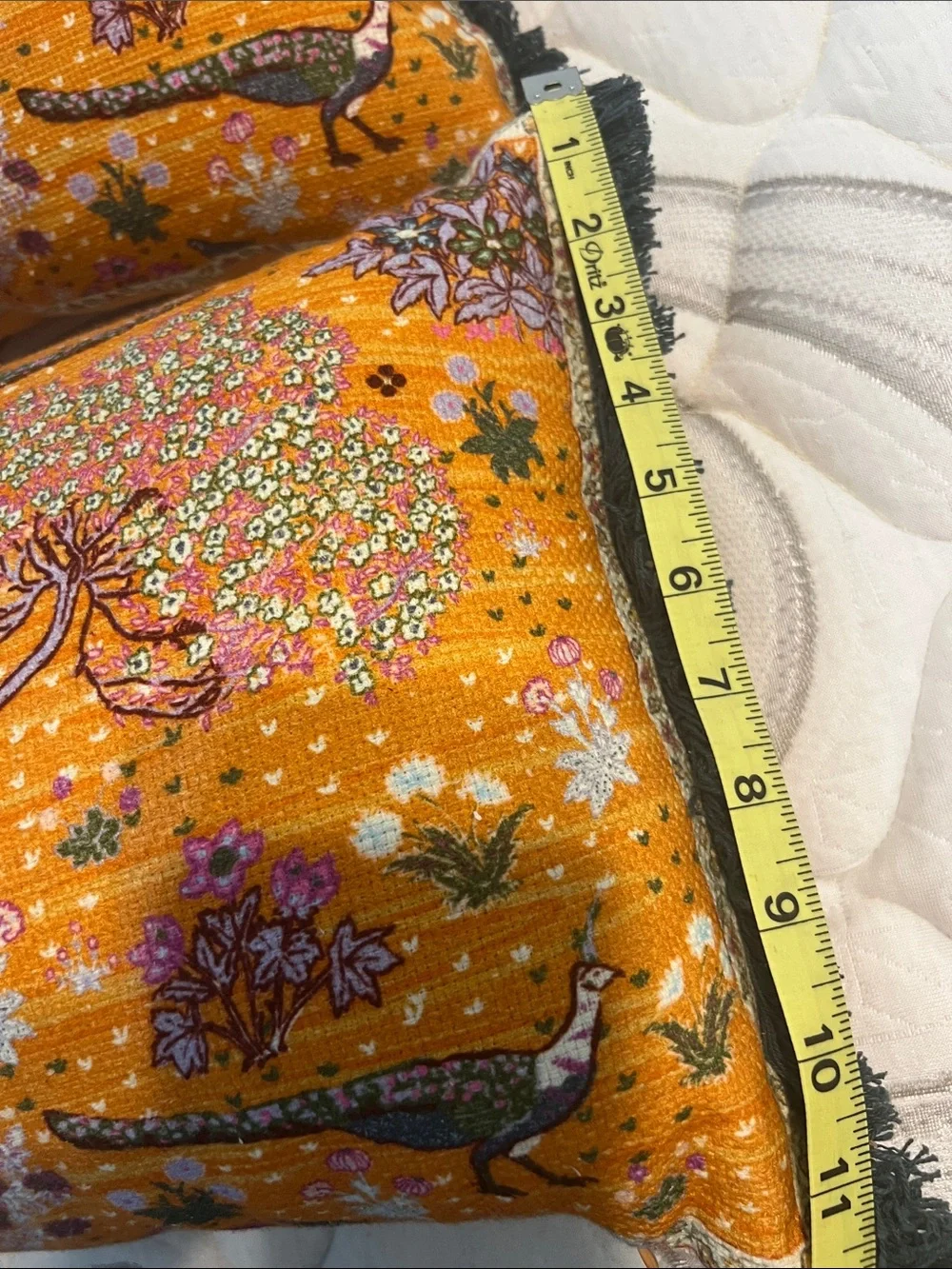 Anthropologie pillows.
